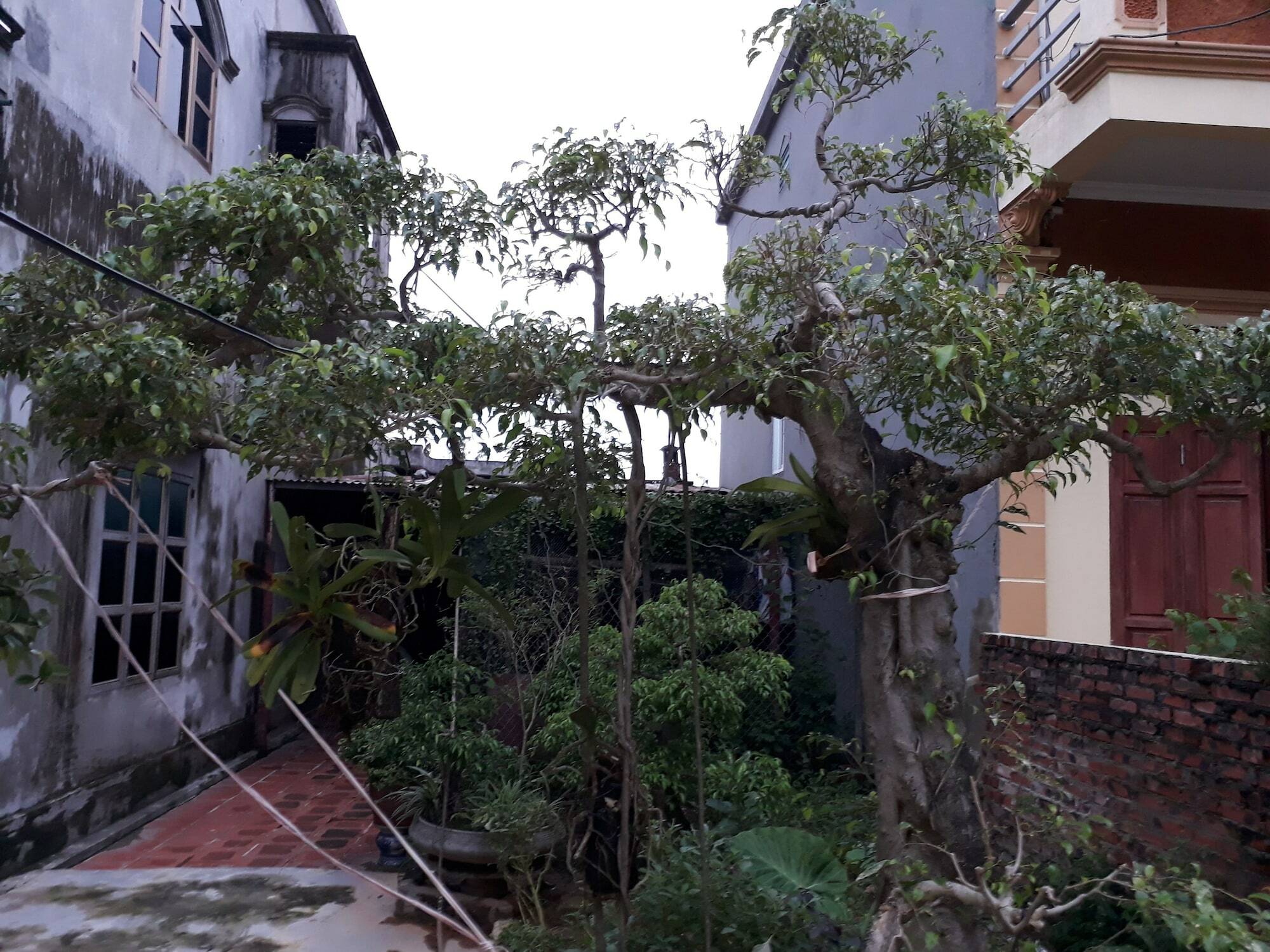 Tam Coc White Swan Homestay ニンビン エクステリア 写真